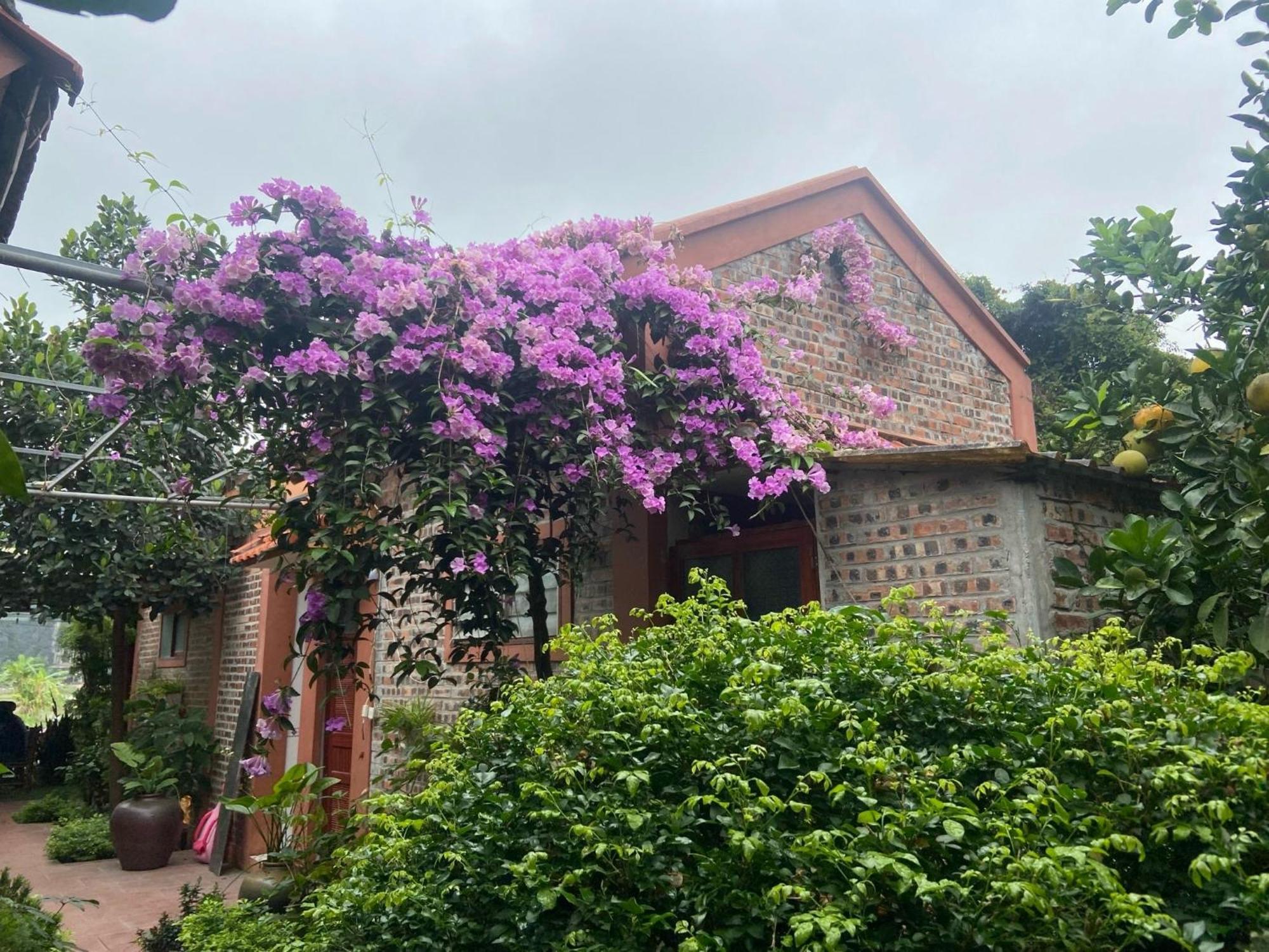 Tam Coc Mountain View Homestay Ninh Bình Extérieur photo
