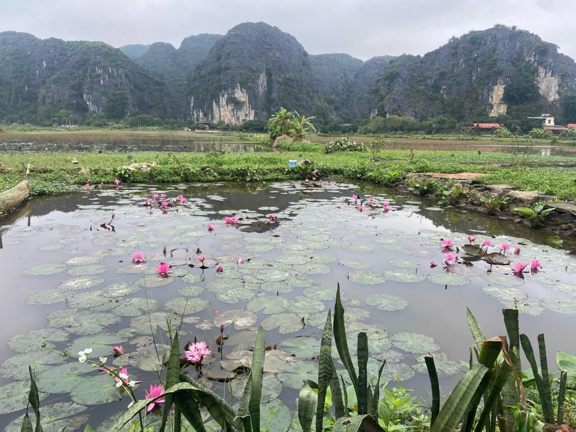 Tam Coc Mountain View Homestay Ninh Bình Extérieur photo