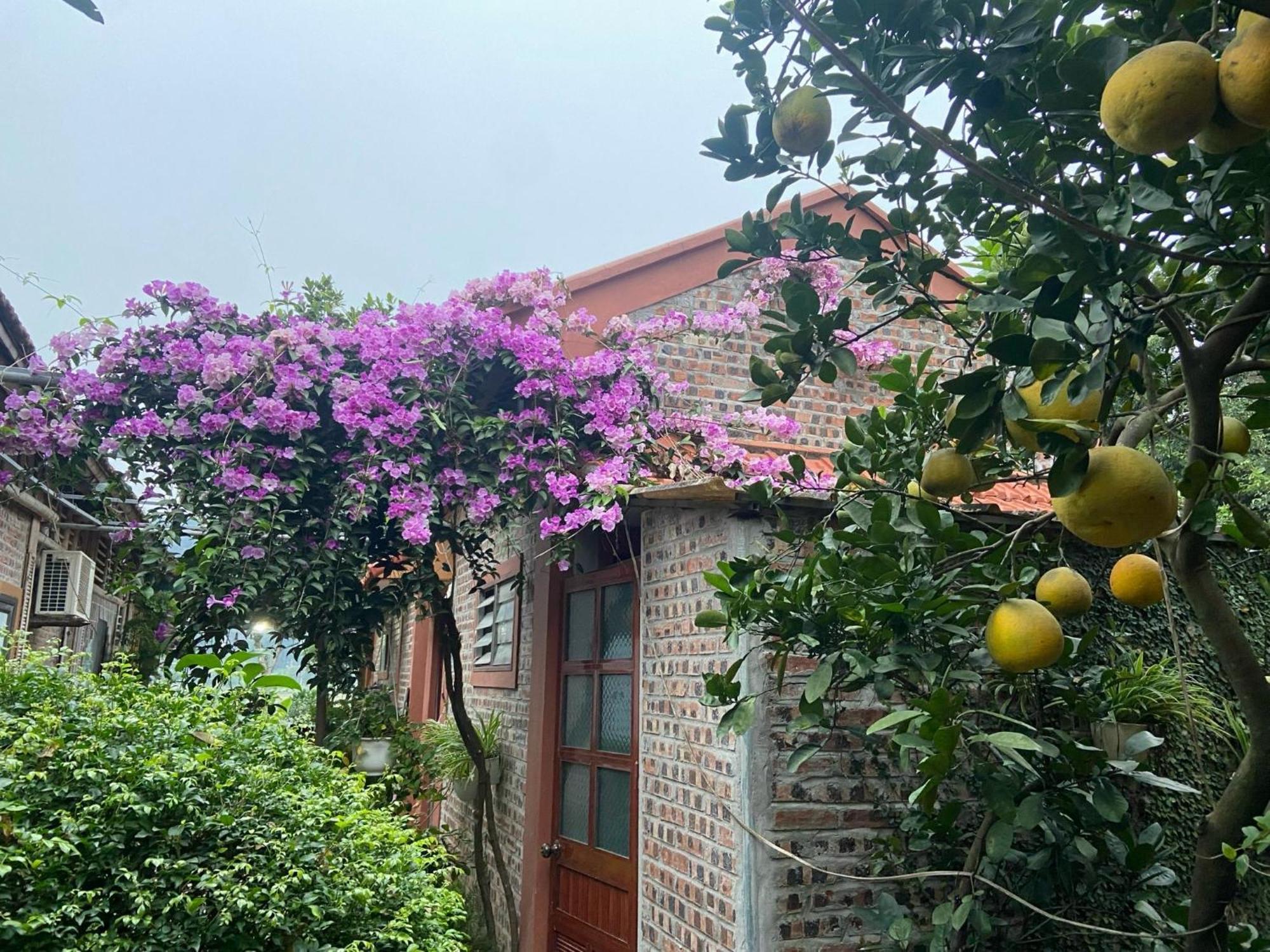 Tam Coc Mountain View Homestay Ninh Bình Extérieur photo