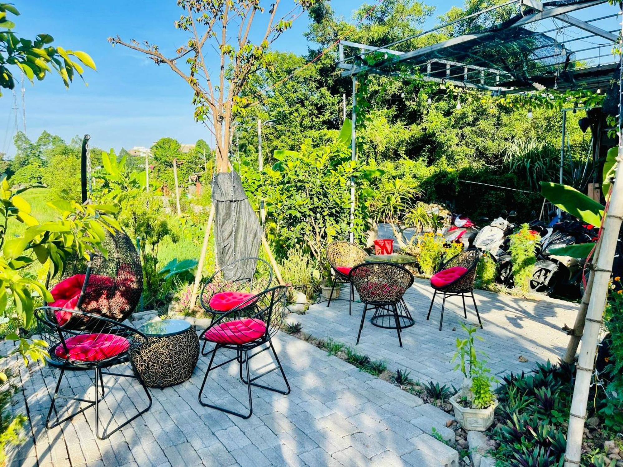 Tam Coc Mountain View Homestay Ninh Bình Extérieur photo