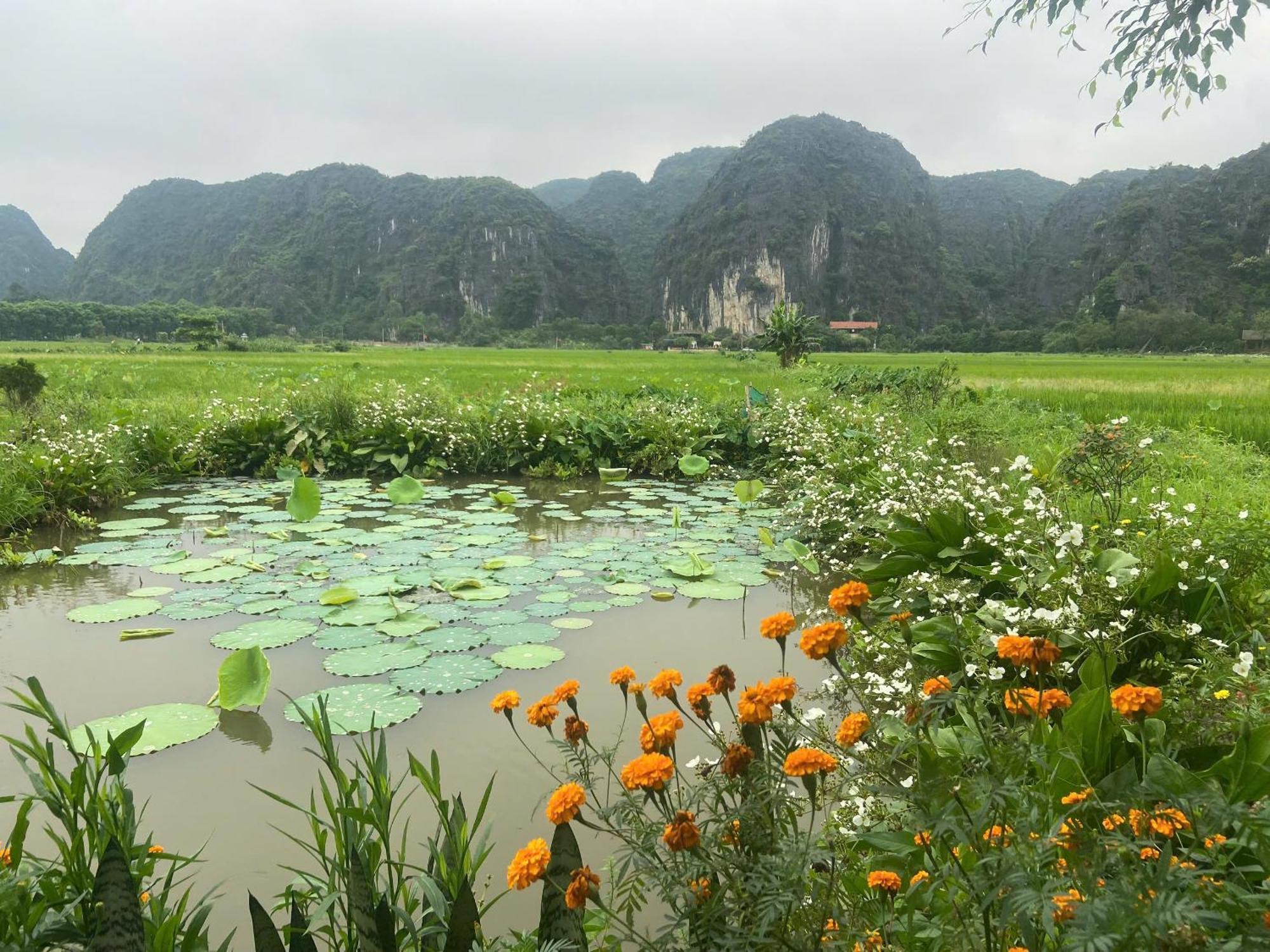 Tam Coc Mountain View Homestay Ninh Bình Extérieur photo